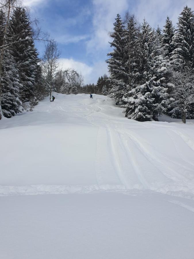 Chalet Chapeau Rar Castel Condino 외부 사진